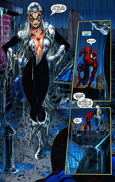 black cat porn comics|The Nuptials of Spider